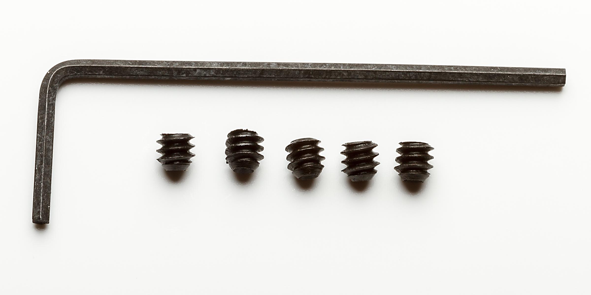 Rear Sight Socket Set Screws w/Tool Warren Tactical Series